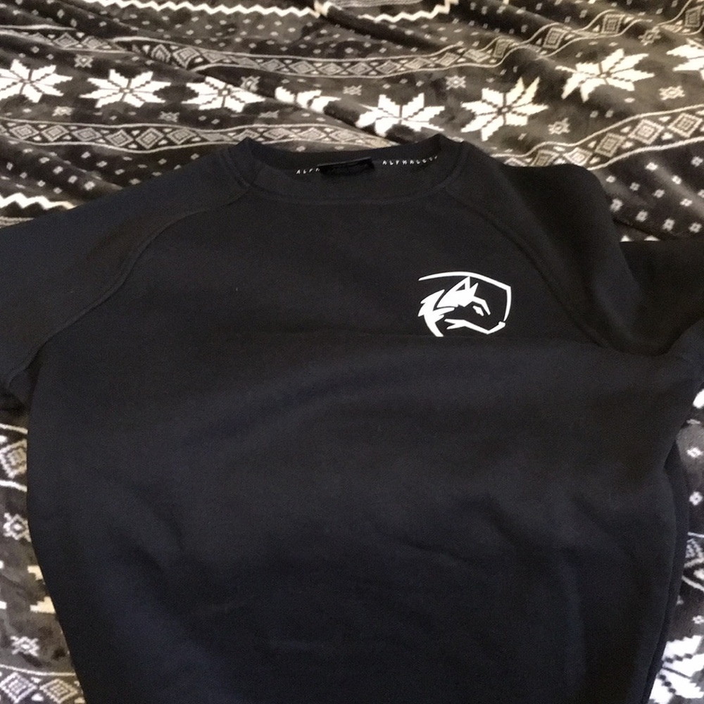 Alphalete crewneck sweatshirt